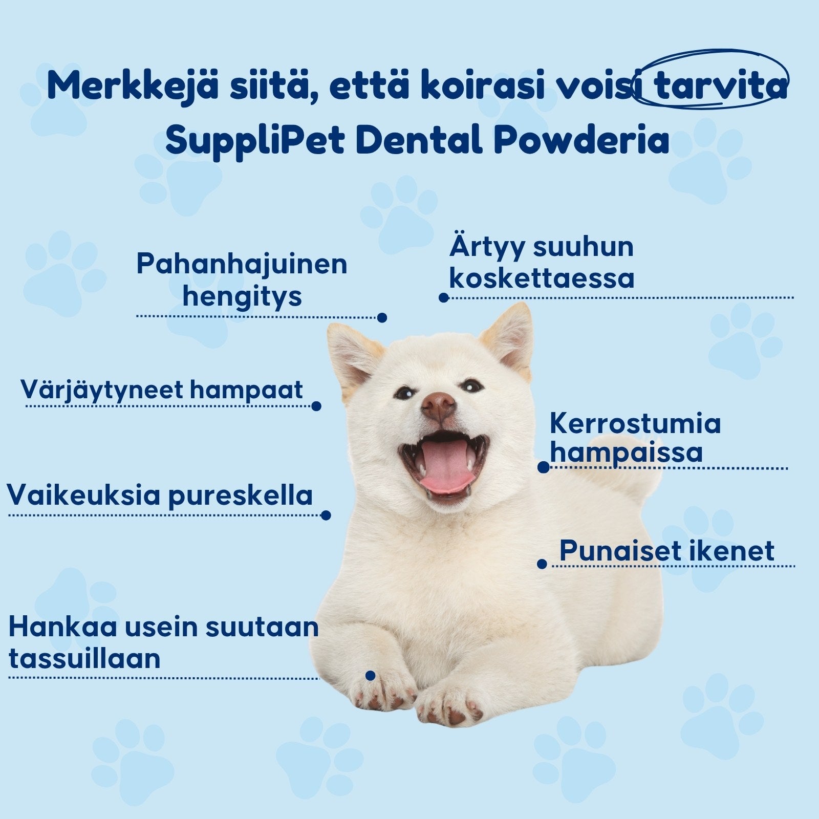 SuppliPet Dental Powder – mittalusikka mukana