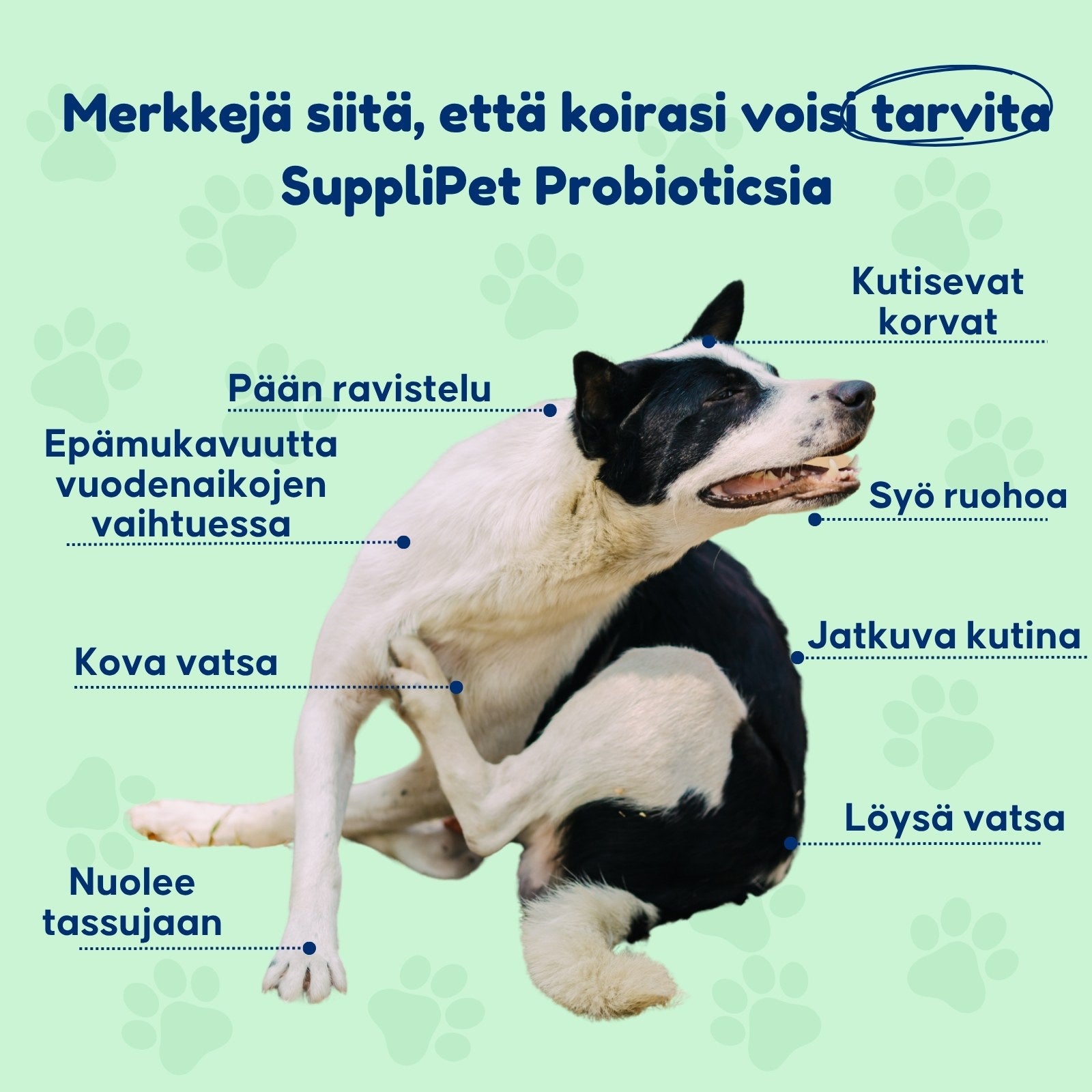 SuppliPet Probiotics
