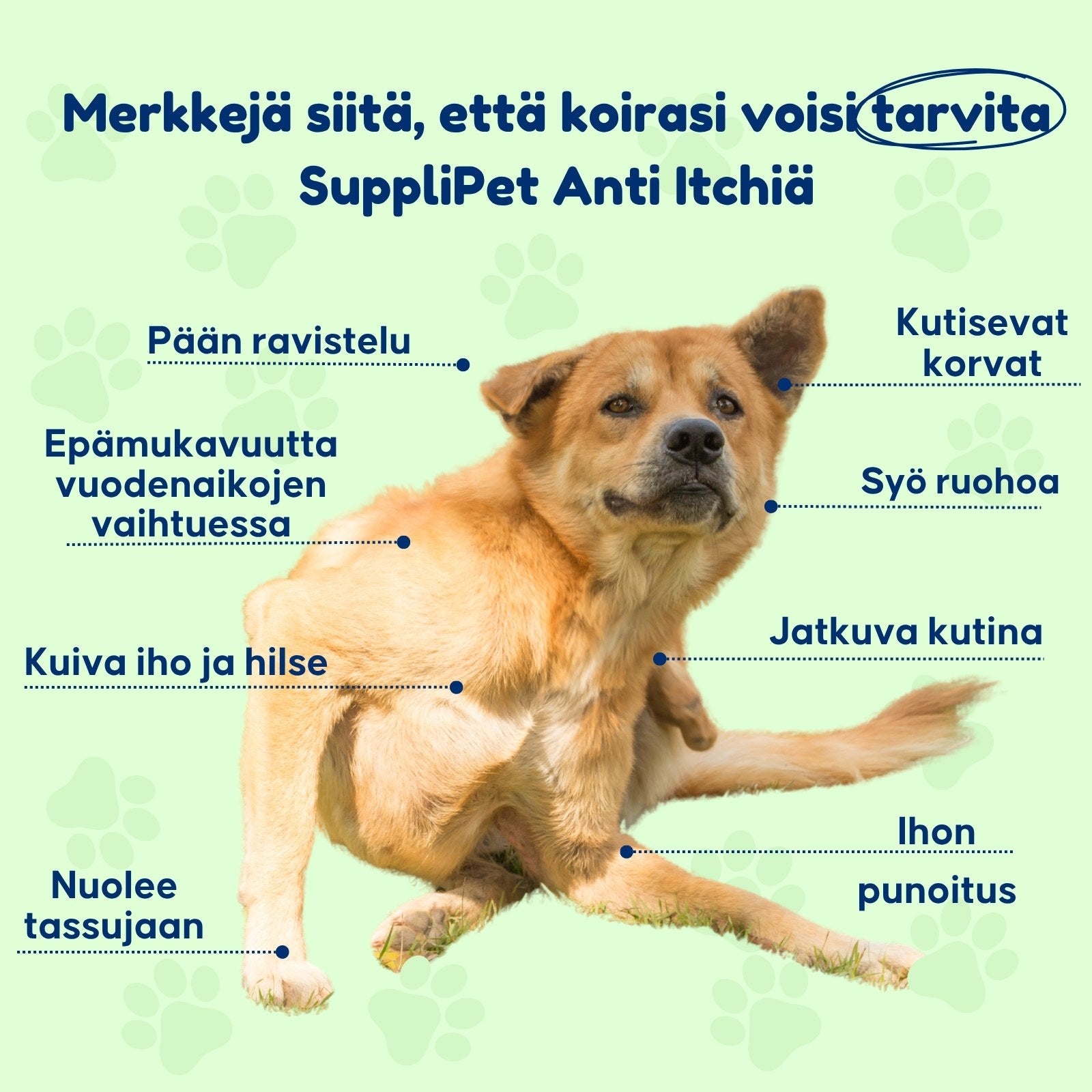 SuppliPet Anti Itch