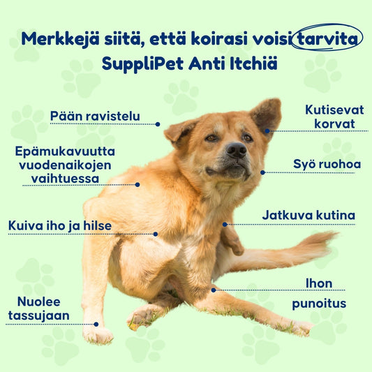 SuppliPet Anti Itch