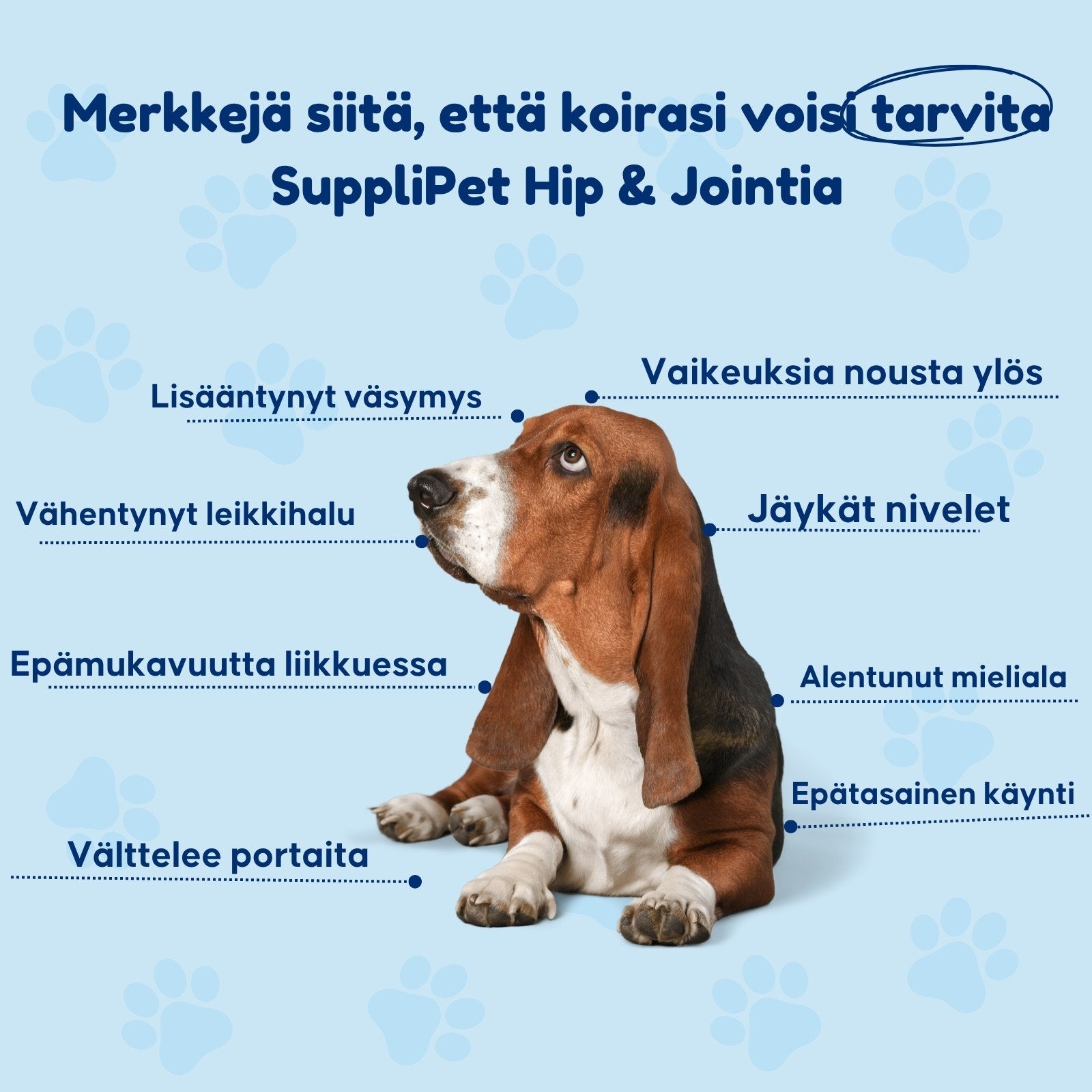 SuppliPet Hip & Joint