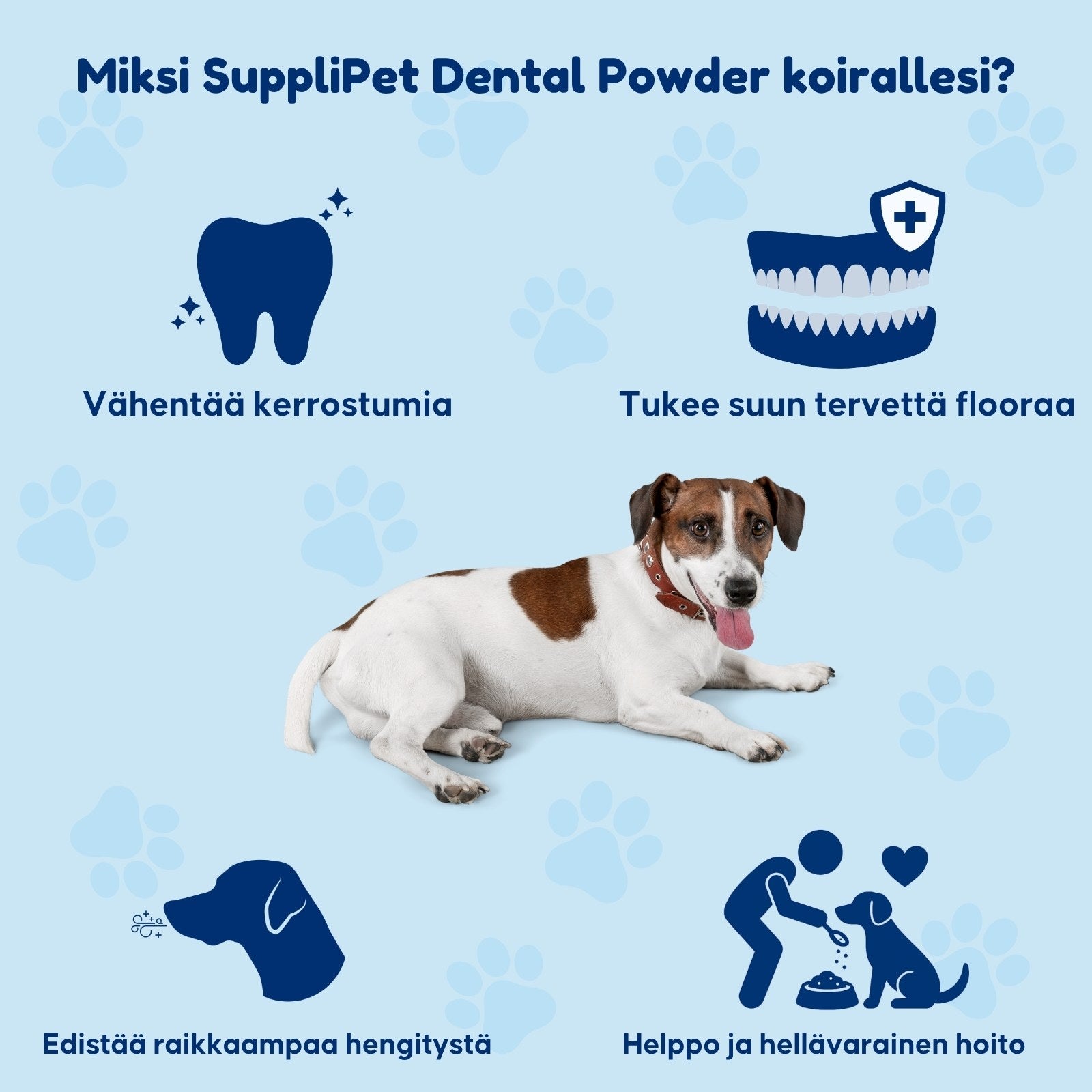 SuppliPet Dental Powder