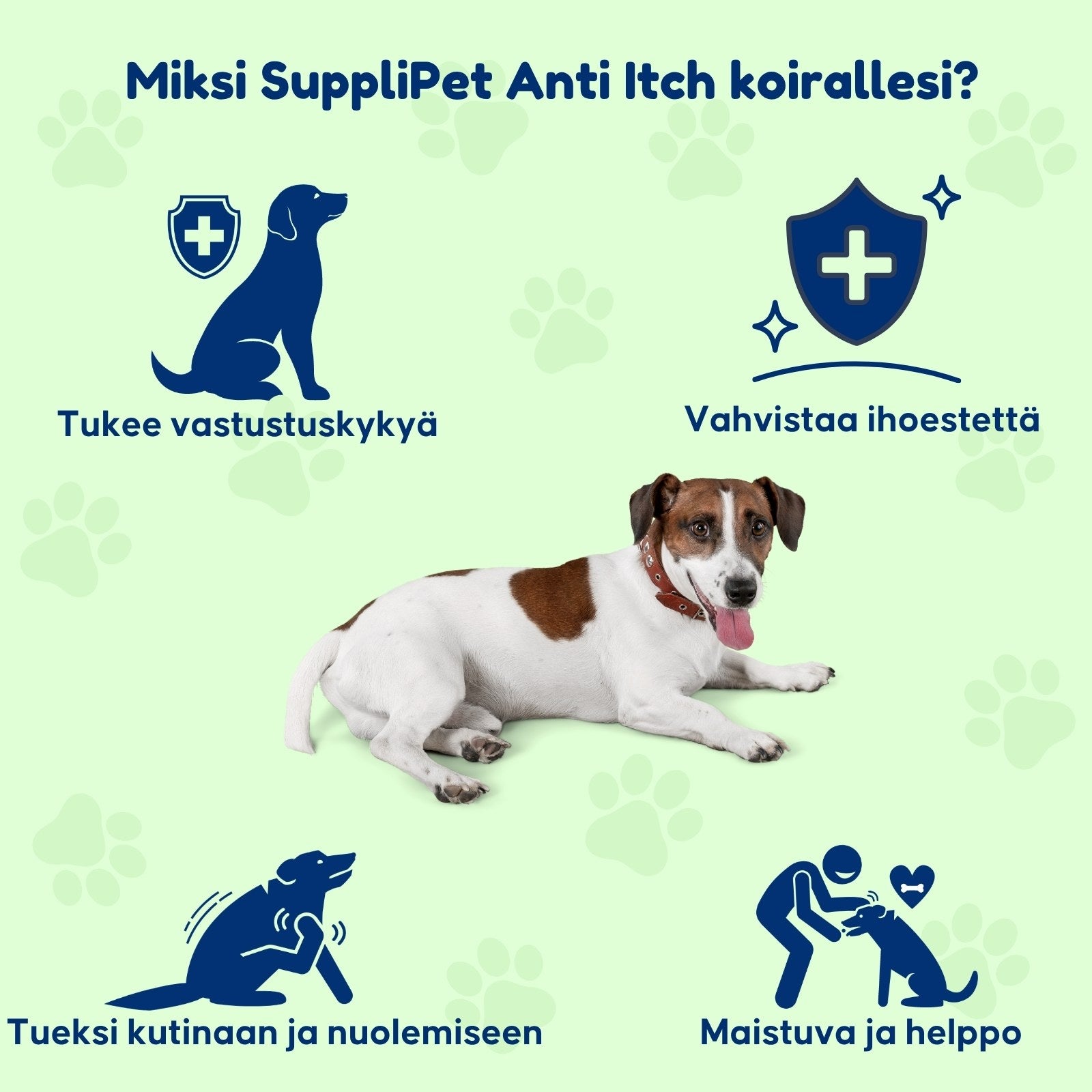 SuppliPet Anti Itch