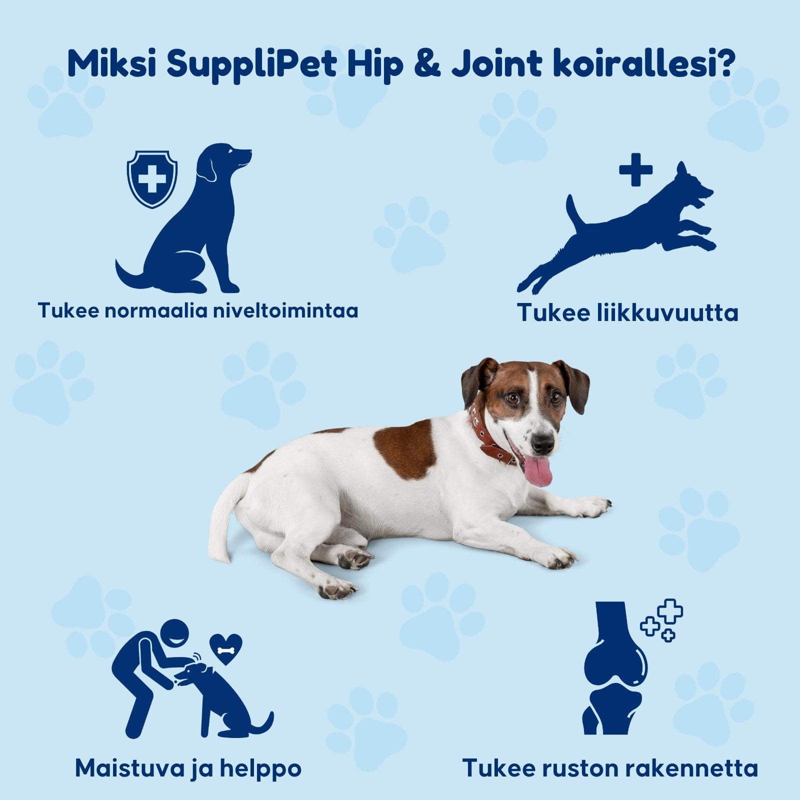 SuppliPet Hip & Joint