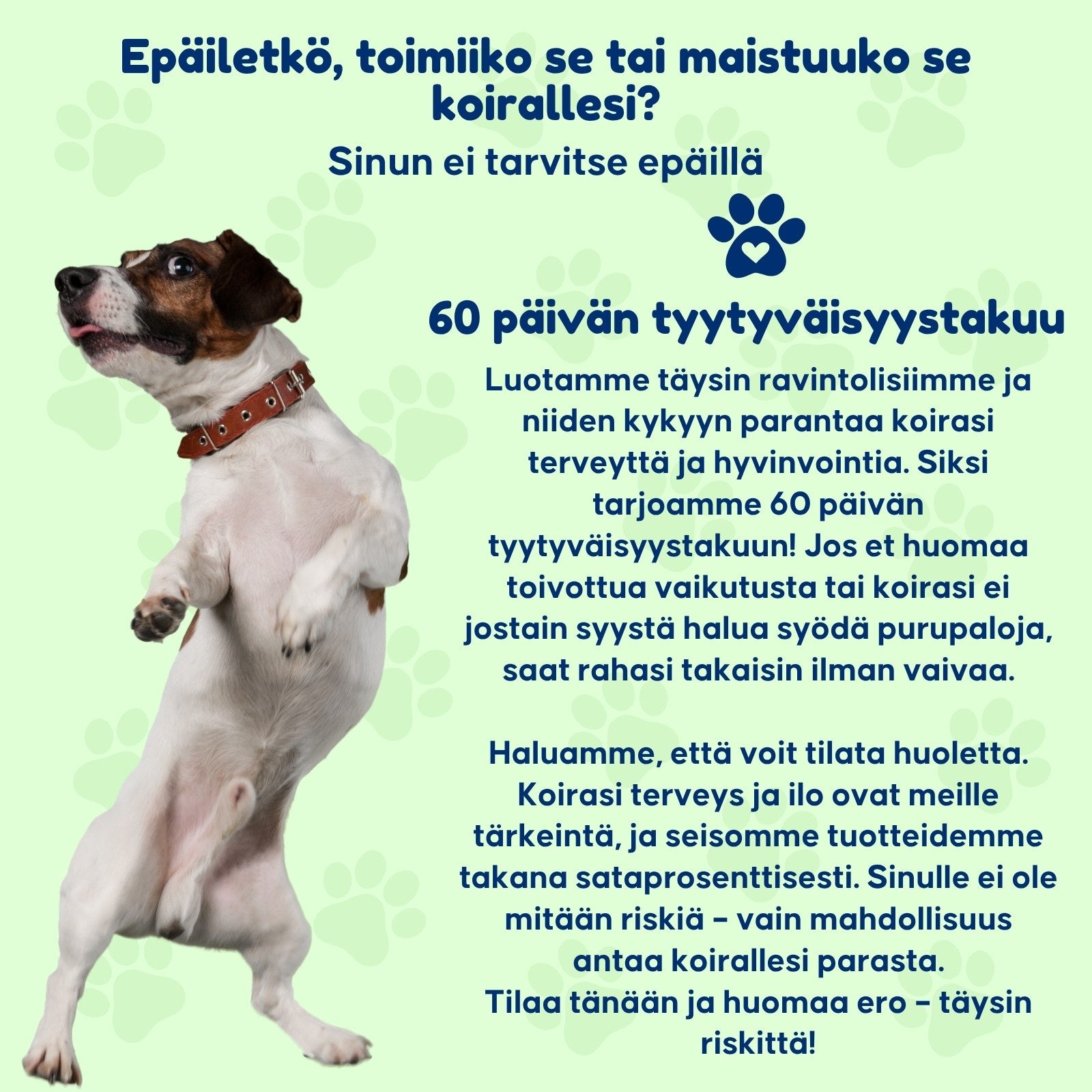 SuppliPet Anti Itch